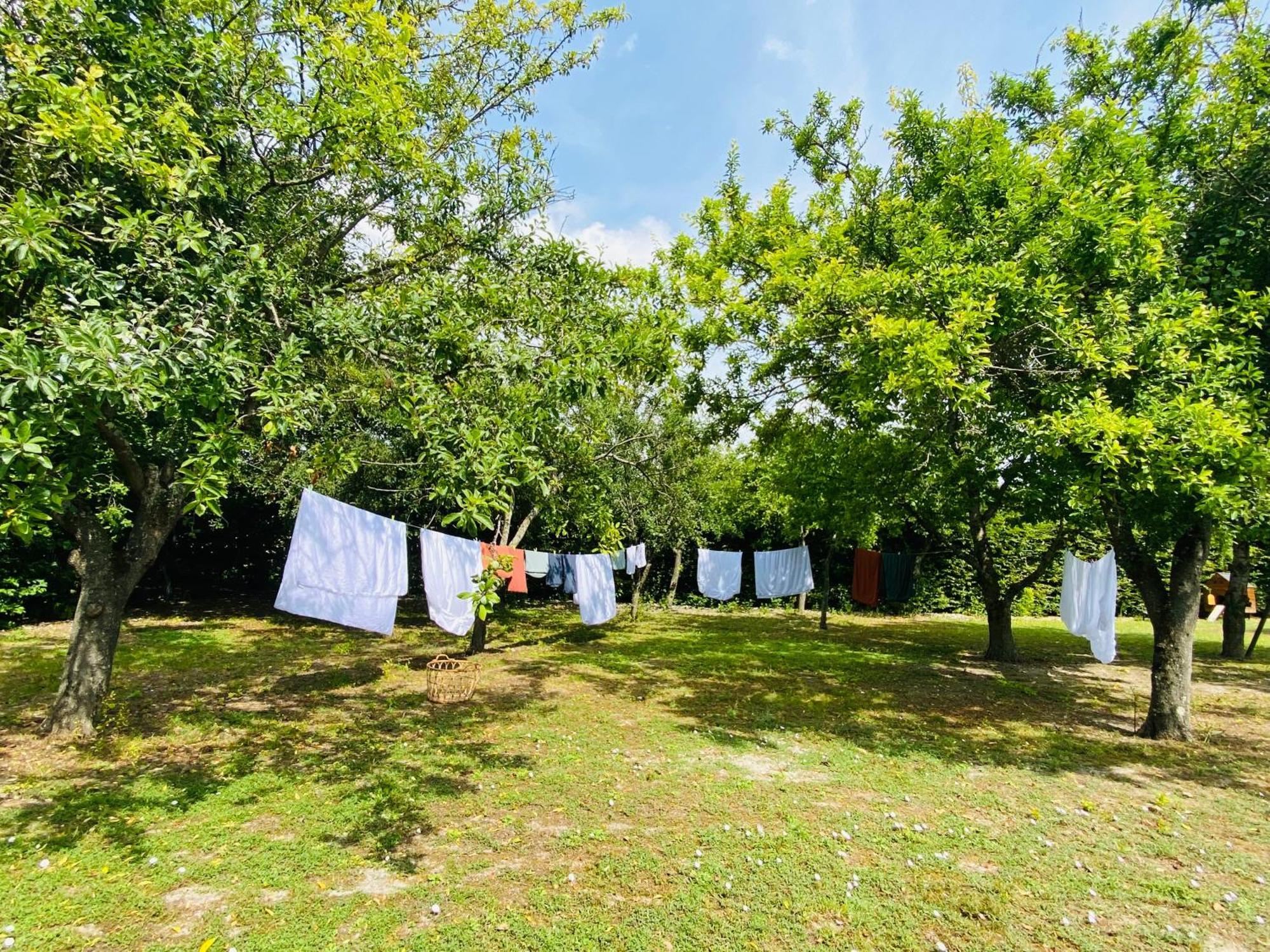 L'Ecrin De Verdure Ligre Экстерьер фото