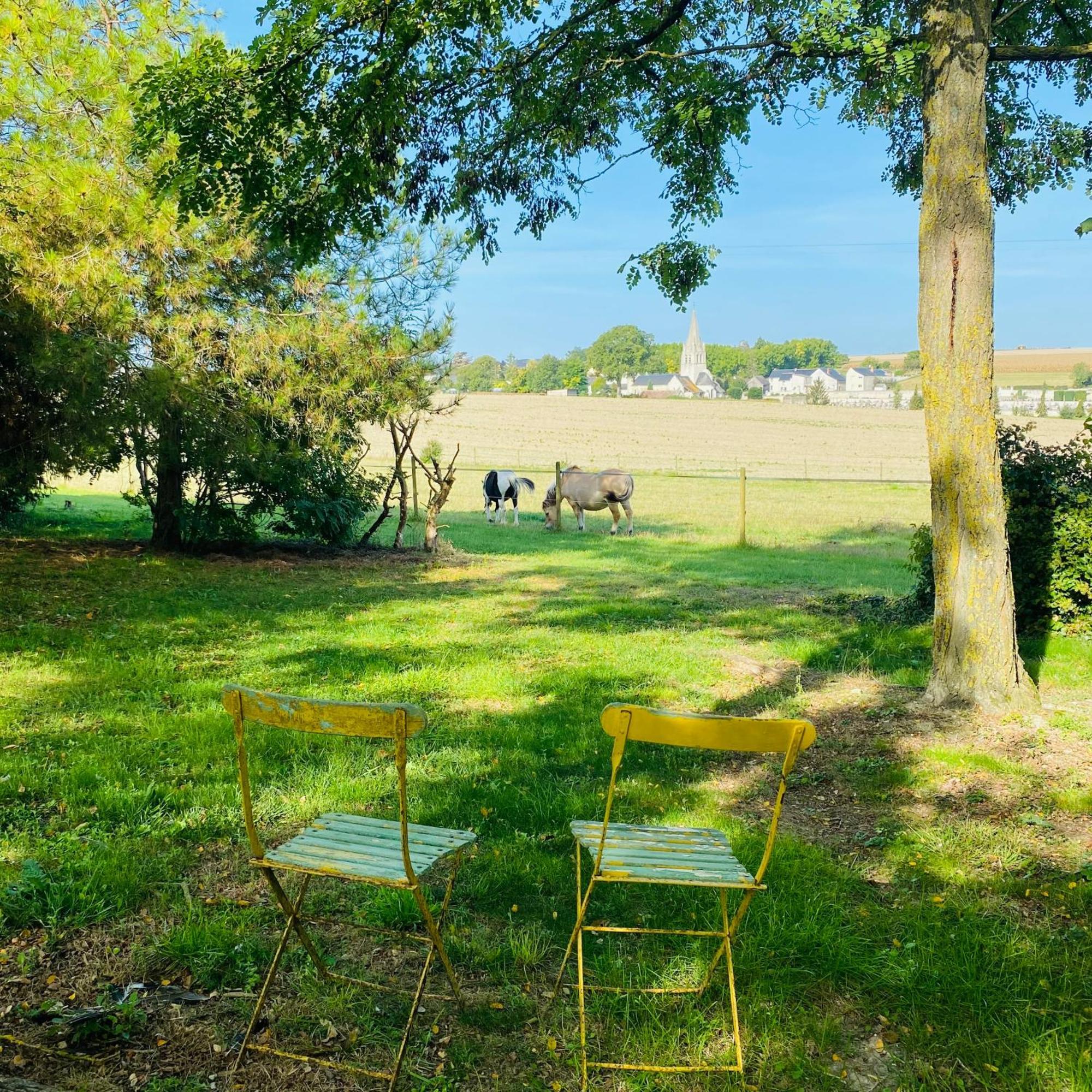 L'Ecrin De Verdure Ligre Экстерьер фото