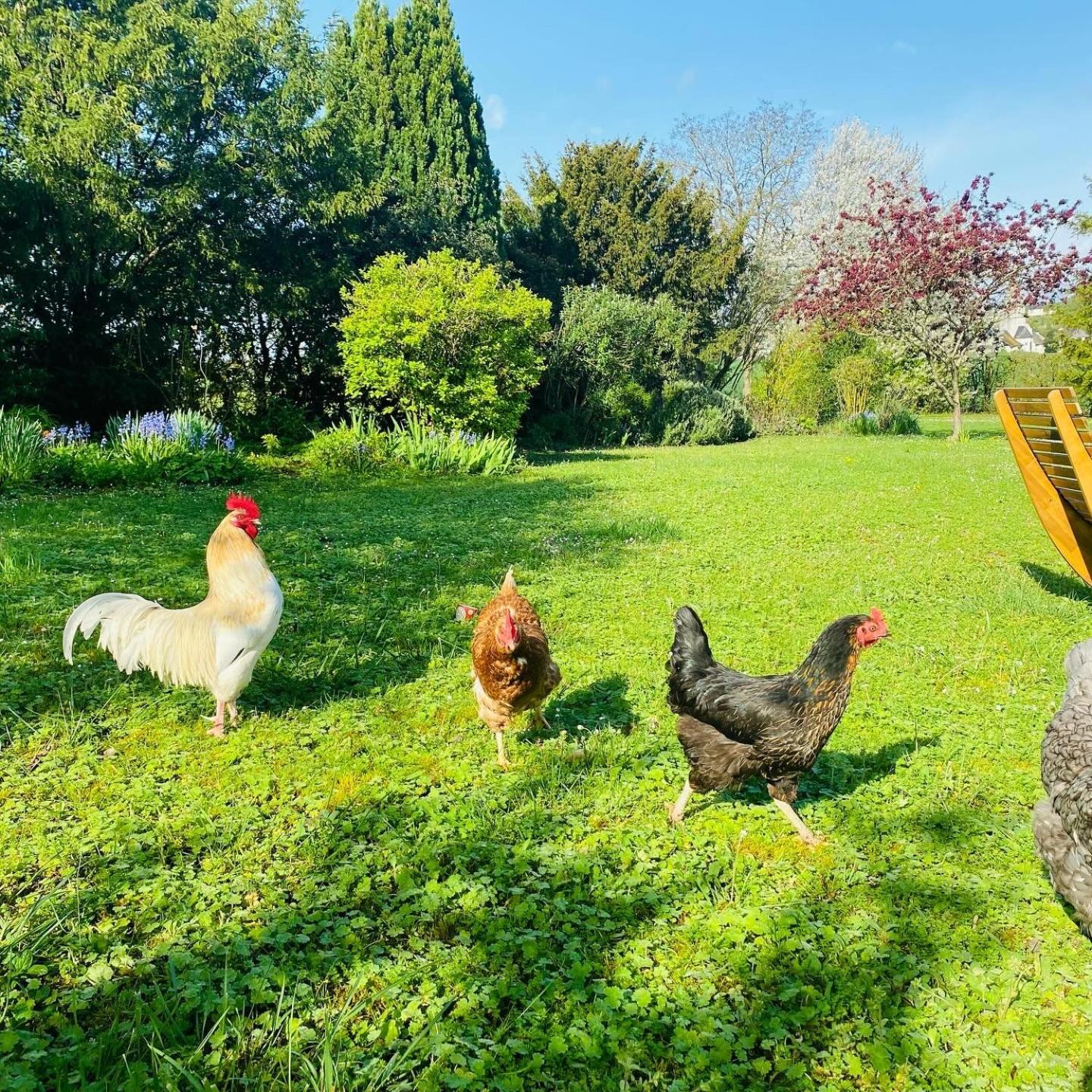 L'Ecrin De Verdure Ligre Экстерьер фото